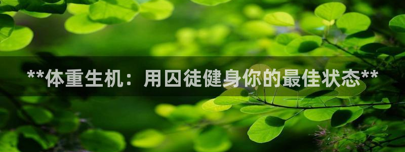 意昂2平台