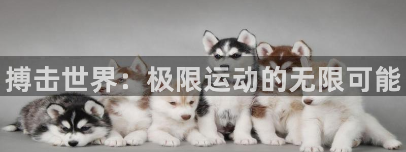 意昂2官方平台
