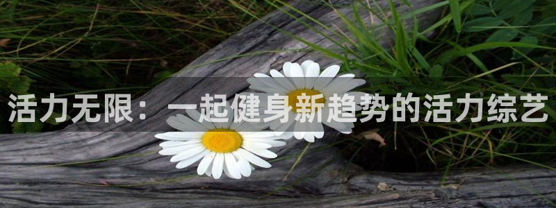 意昂2代理
