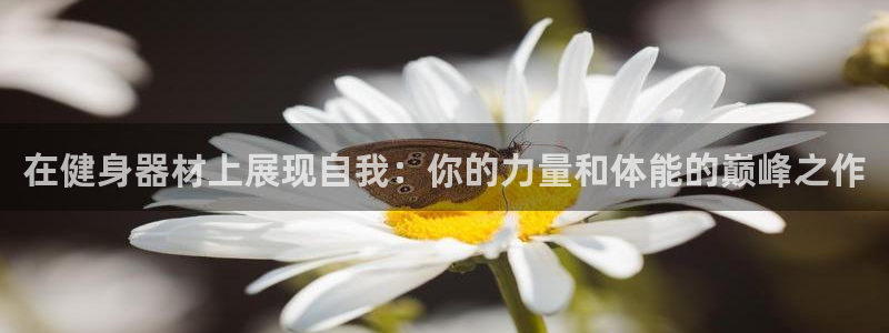 意昂2官方网站