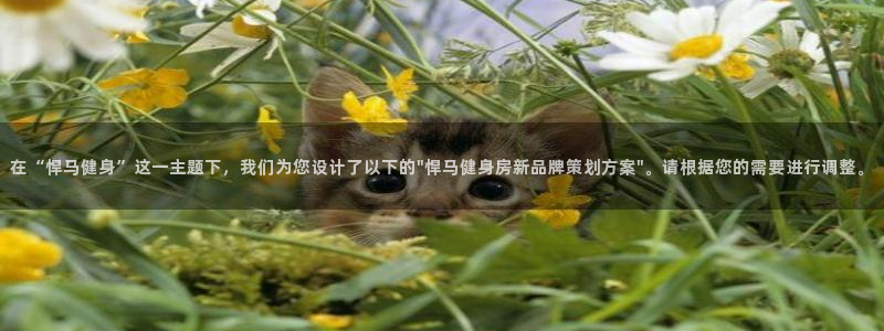 意昂2官方平台